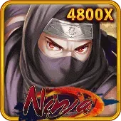 Ninja screenshot